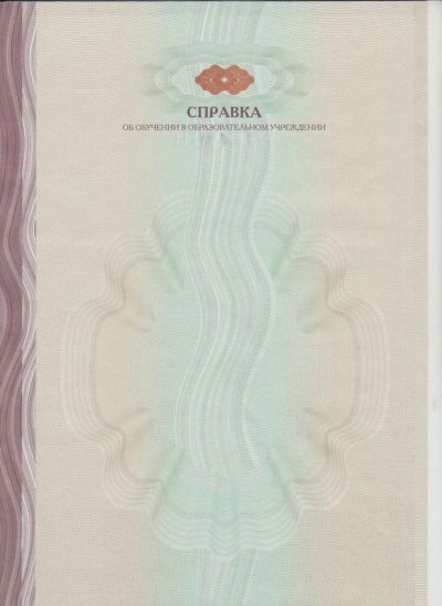 Академ справка ВУЗ от 2015 до 2025